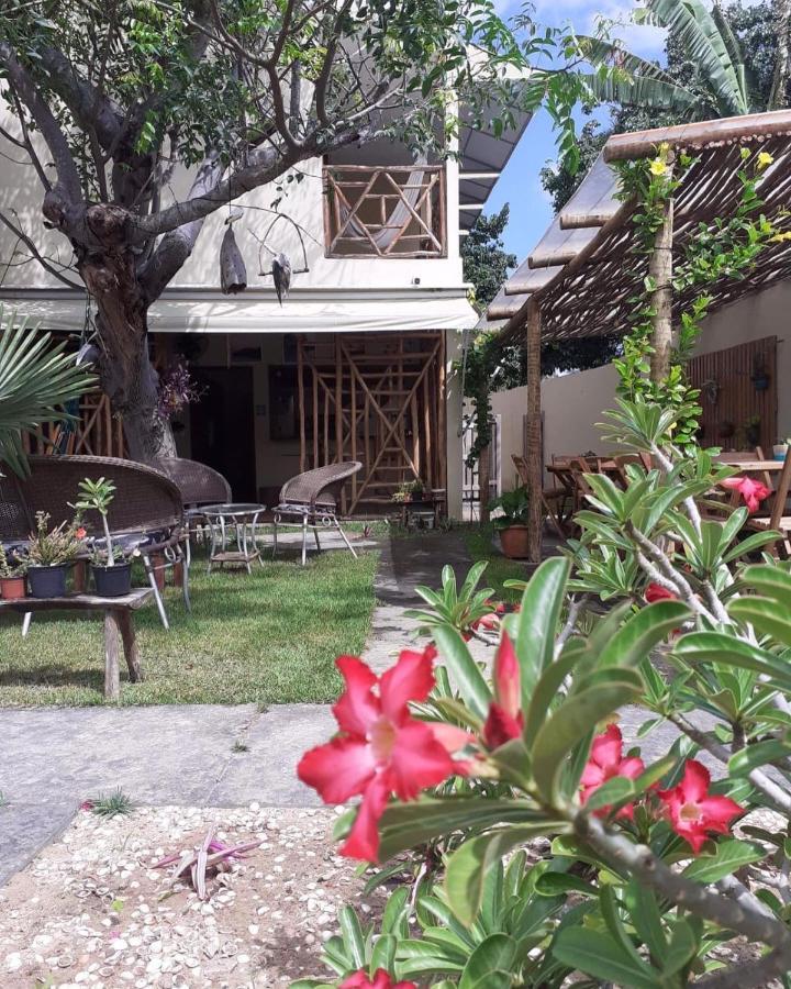 Casa Eolica Hotell Barra Grande  Eksteriør bilde