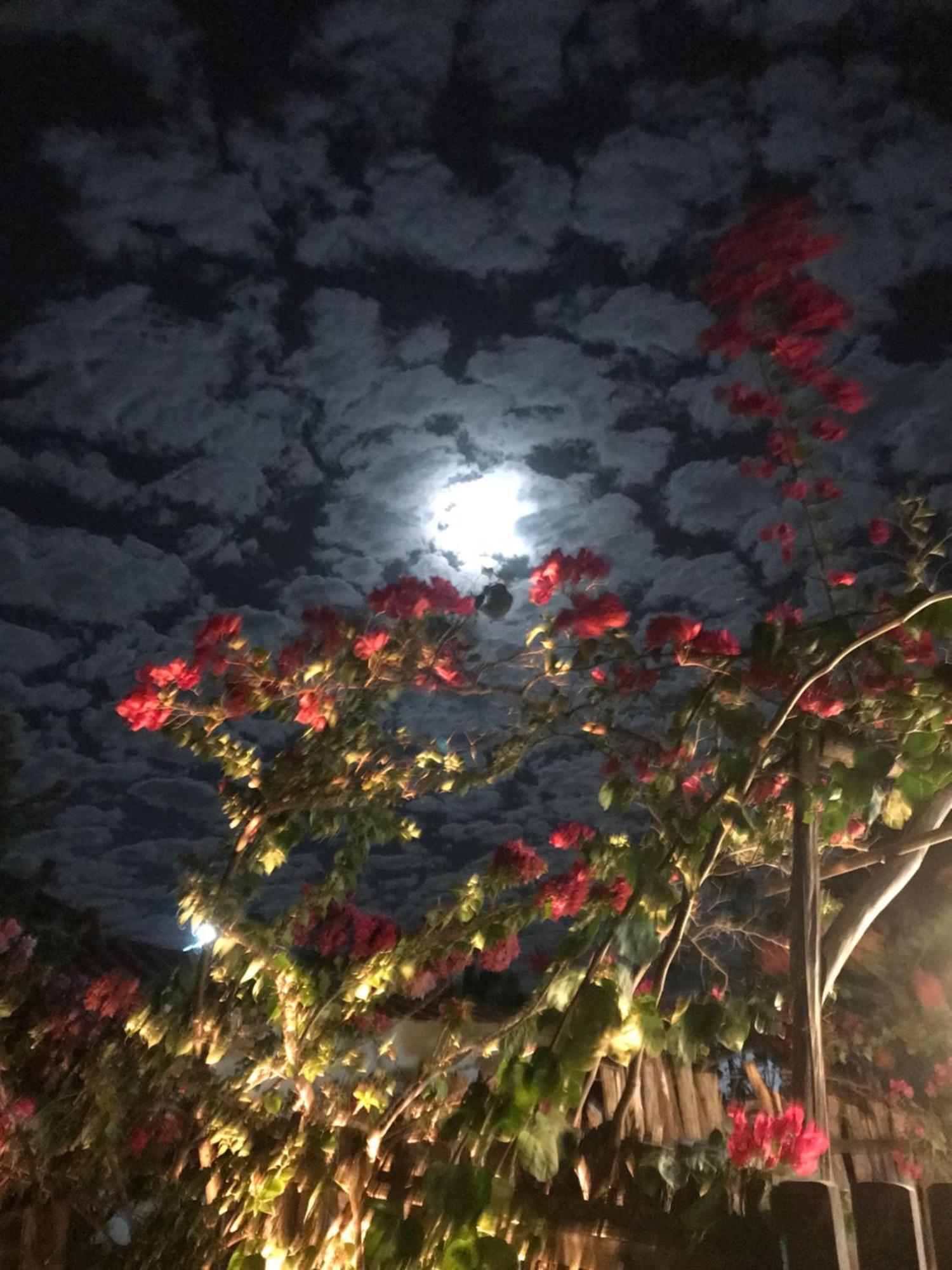 Casa Eolica Hotell Barra Grande  Eksteriør bilde